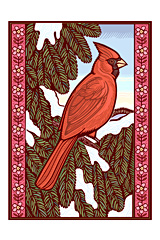 (snowy cardinal)
