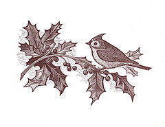 (holly & titmouse)