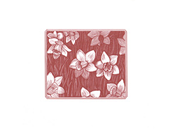 (daffodils engraving)