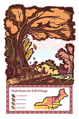 (fall foliage map)