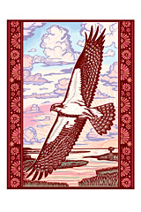 (osprey)