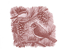 (titmice)