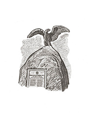 (eagle)